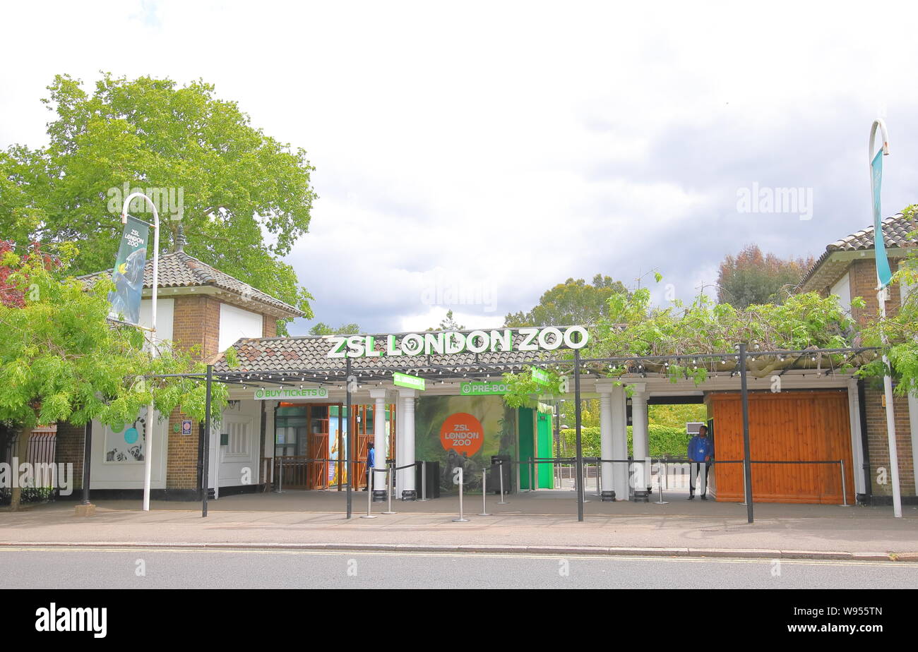 ZSL London Zoo London REGNO UNITO Foto Stock