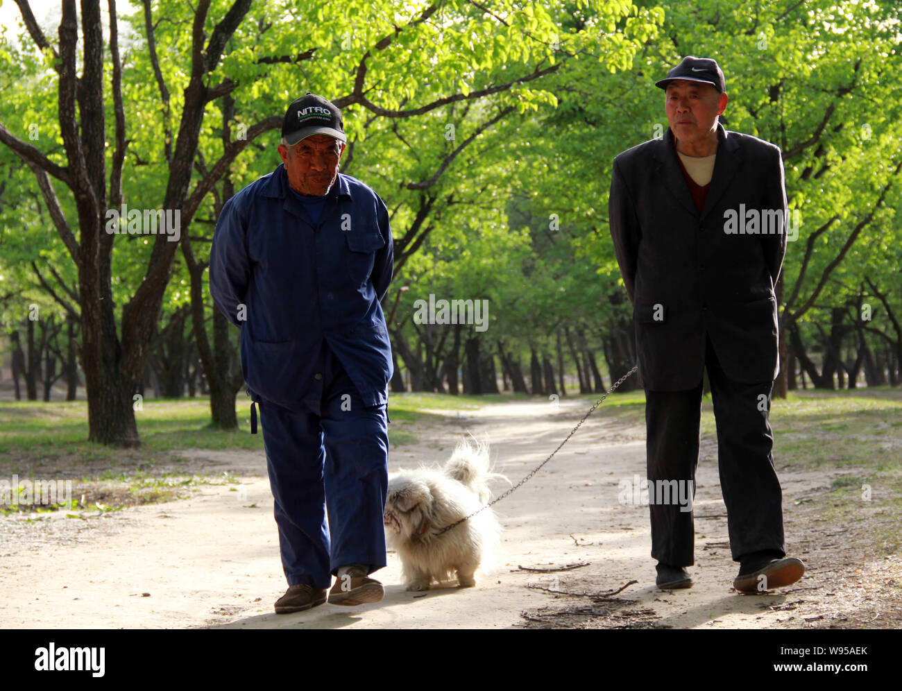 Due uomini anziani a piedi un cane in un parco a Pechino in Cina, 27 aprile 2012. Corrente di porcellane fondo pensione è in eccedenza e di responsabili politici avrà, un lento Foto Stock