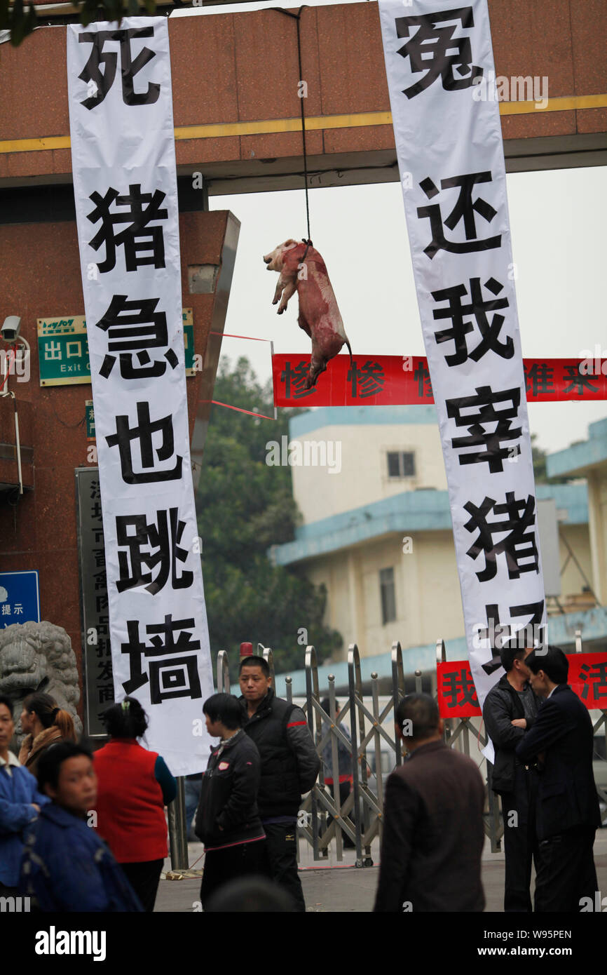 I dipendenti cinesi stand di fronte al Nanshan macellazione e trasformazione delle carni impianto di fronte due striscioni e un maiale morto appeso alla porta di Shen Foto Stock