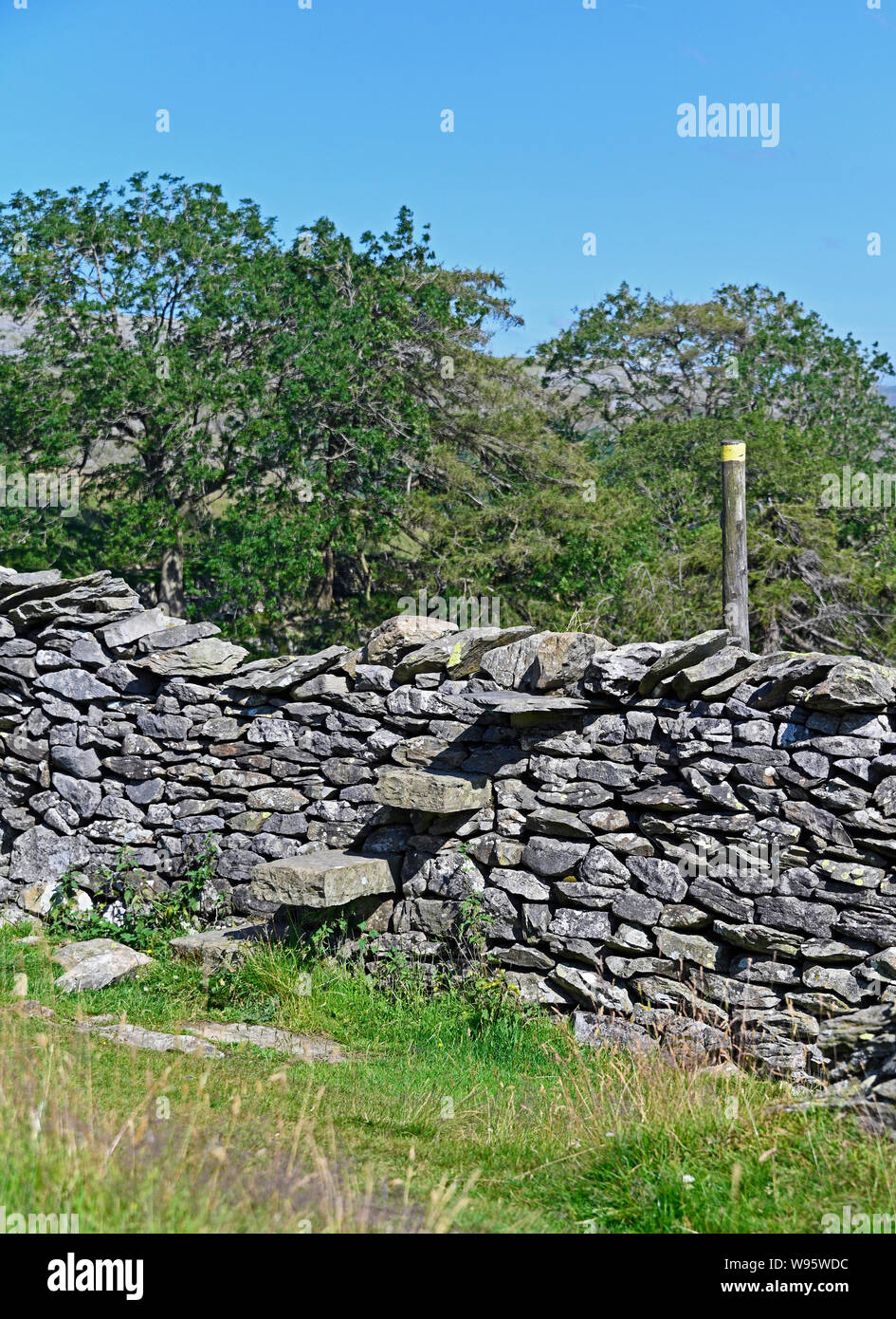 Step-stile in dry-muro di pietra. Norber. Austwick, Yorkshire Dales National Park, Craven, North Yorkshire, Inghilterra, Regno Unito, Europa. Foto Stock
