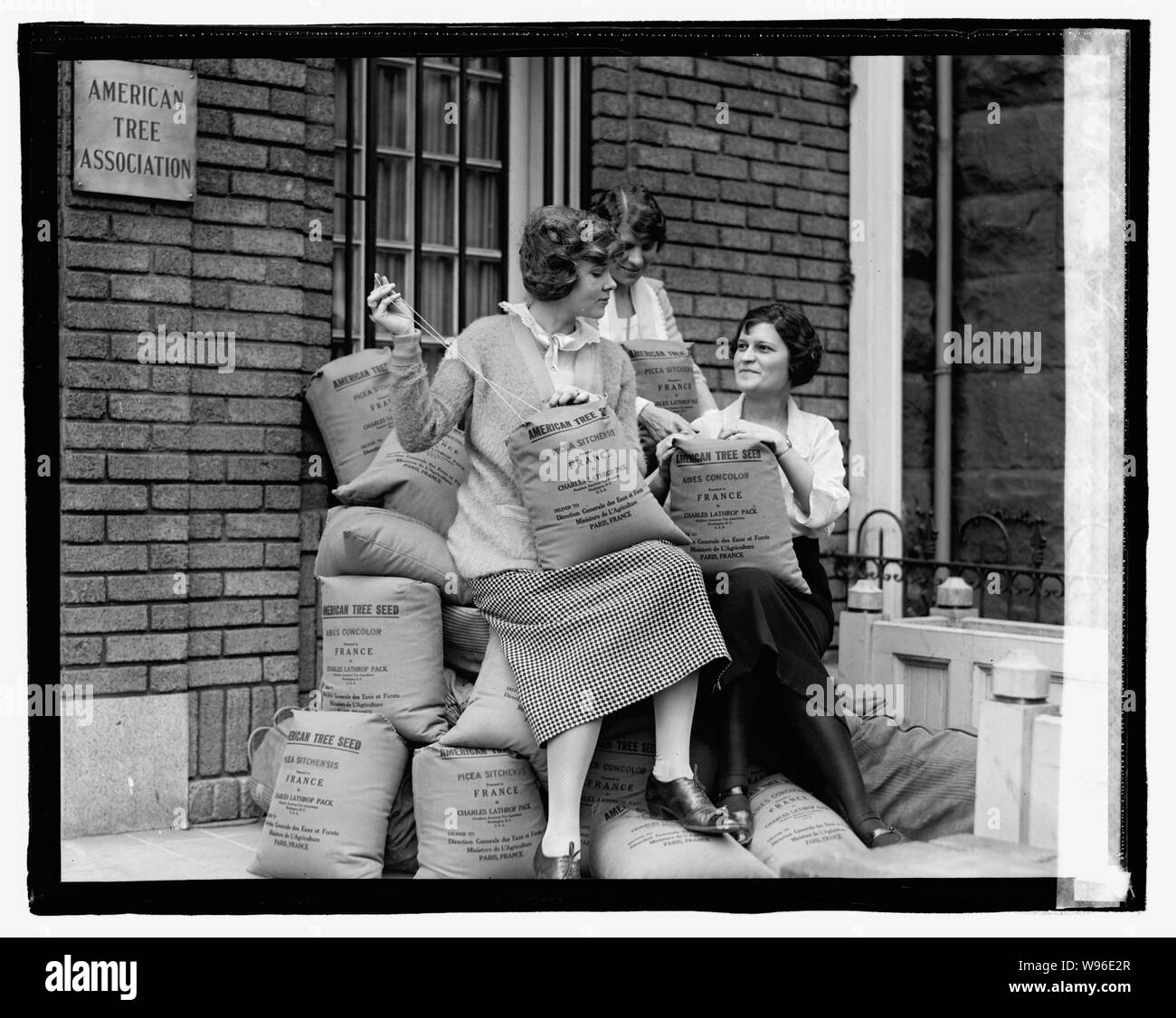 Am. Silvicoltura Assn. Foto Stock