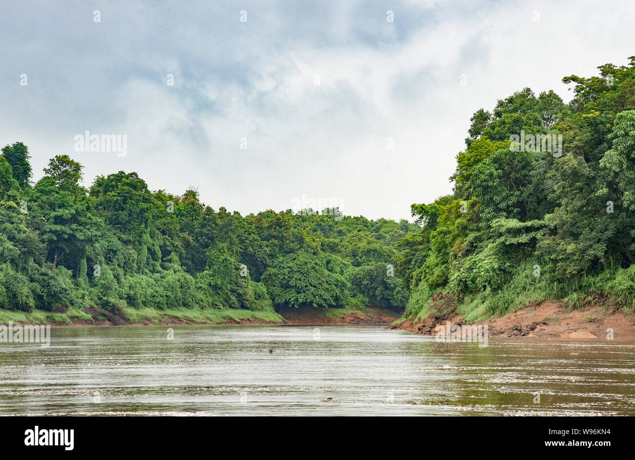 Il fiume del Periyar, il dottor Salim Ali Bird Sanctuary, Thattekad, Ernakulum district, i Ghati Occidentali, Kerala, India Foto Stock