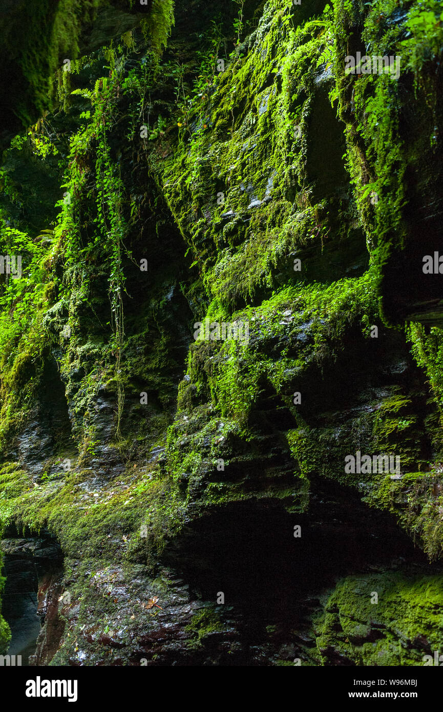 Alcuni punti panoramici in Devil's cauldron, Lydford Gorge, Dartmoor Foto Stock