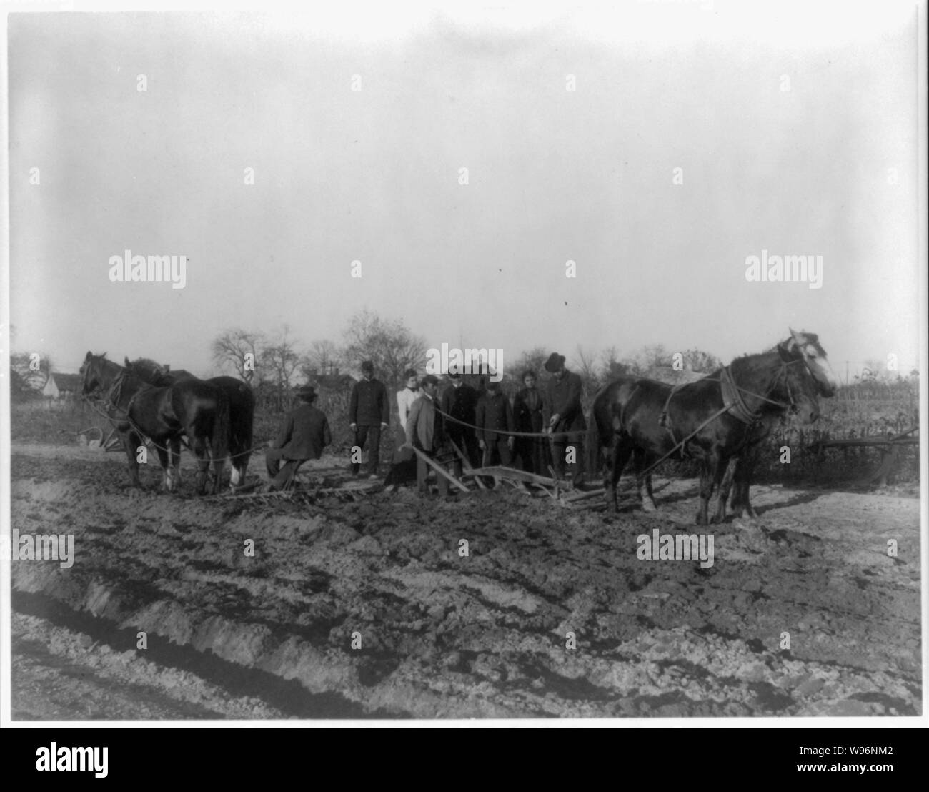 Indiano americano e africano studenti americani a Hampton Institute, Hampton, Va. 1900 - uomini e donne ad apprendere come campo dell'aratro Foto Stock
