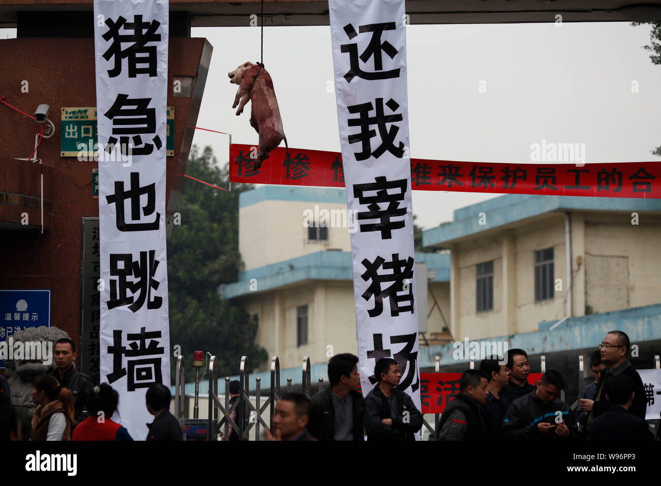I dipendenti cinesi stand di fronte al Nanshan macellazione e trasformazione delle carni impianto di fronte due striscioni e un maiale morto appeso alla porta di Shen Foto Stock