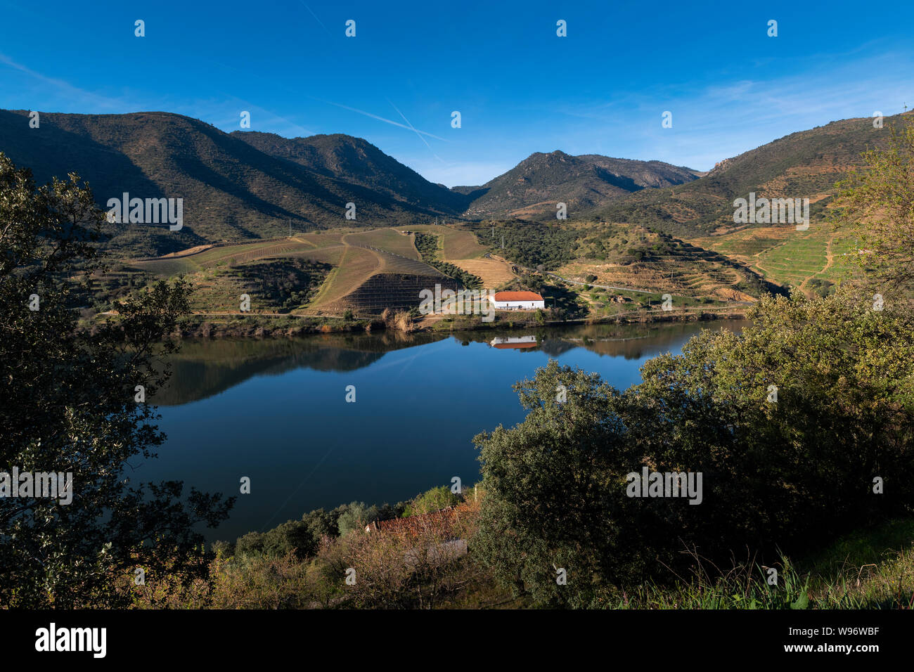 Vista panoramica del fiume Douro con vigneti terrazzati nei pressi del villaggio di Foz Coa, in Portogallo; concetto per il viaggio in Portogallo e più belle pla Foto Stock