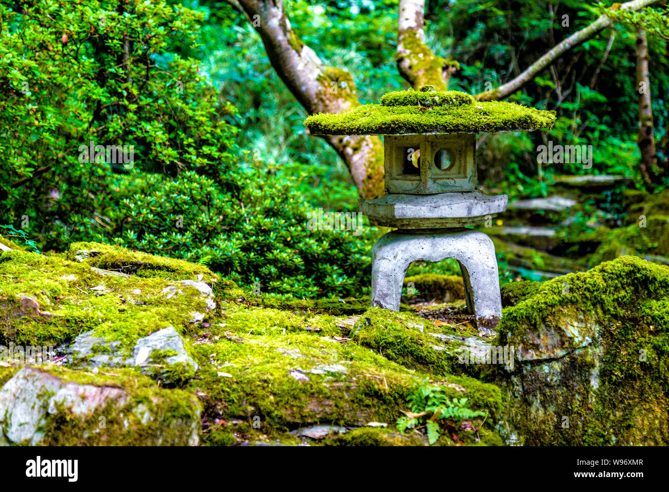 Lanterna di pietra ricoperta con moss al giardino giapponese in St Mawgan, Cornwall, Regno Unito Foto Stock