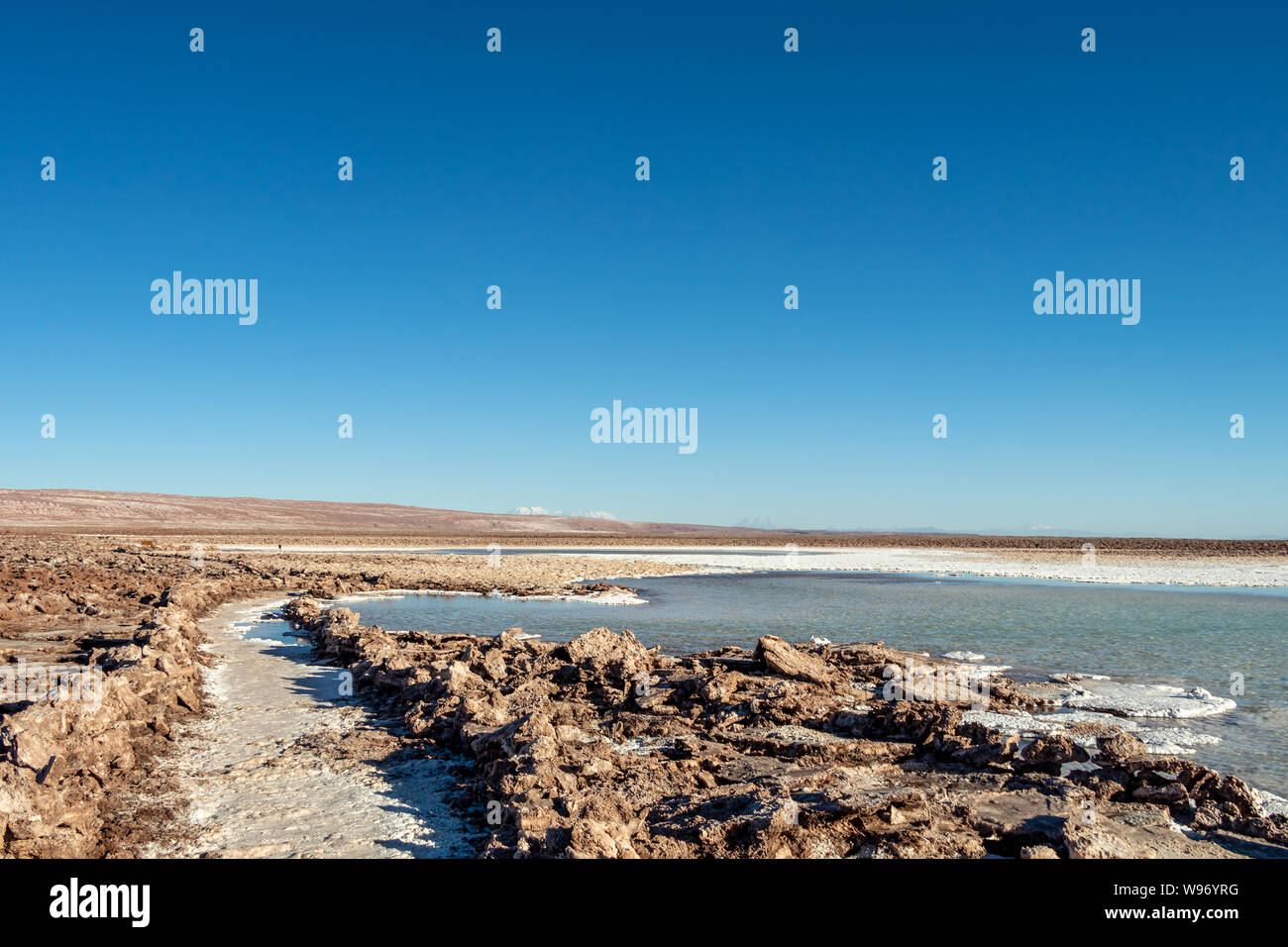 Lagunas Escondidas (HIDDEN GEMS) di Baltinache uno degli spot segreto del deserto di Atacama, lagune turchesi circondato da uno spesso strato di sale Foto Stock