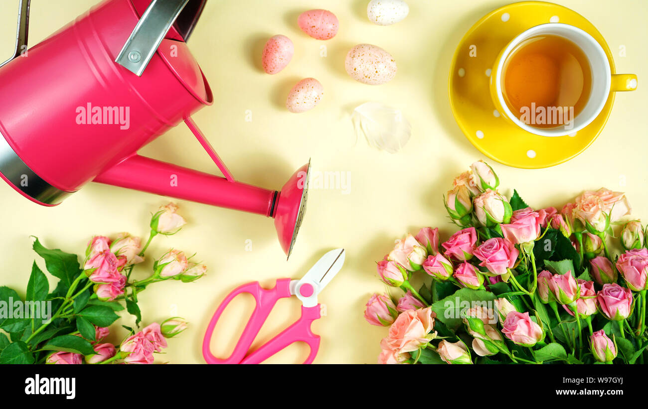 Accogliente primavera rosa e giallo tema Laico piana tea break con rose e accessori per il giardinaggio. Foto Stock