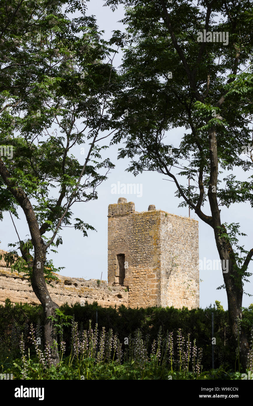 Parador de Carmona, Carmona, provincia di Siviglia, in Andalusia, Spagna, Europa Foto Stock