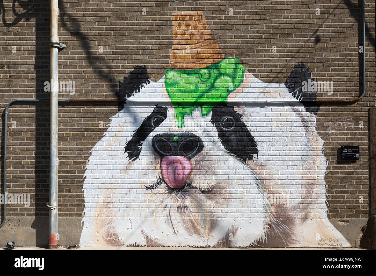 'Panda Oops' è un murale di Tammy Davis che adorna lo Star Financial Bank Building nel centro di Fort Wayne, Indiana, USA. Foto Stock