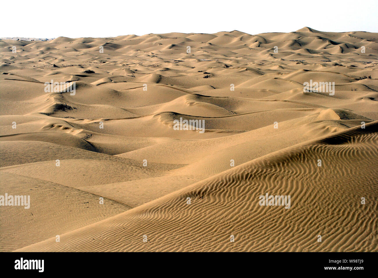 --File-- paesaggio di dune del Takla Makan (Taklamakan o Taklimakan) deserto, Xinjiang Uygur Regione autonoma, 25 ottobre 2007. La Cina è expec Foto Stock