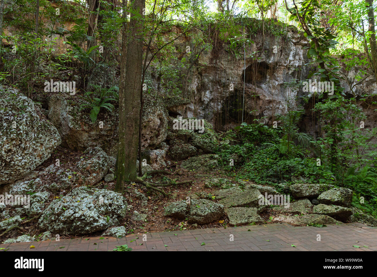 Los Tres Ojos o tre occhi in inglese. Paesaggio roccioso di open-air di grotte di calcare situato nel Mirador del Este park, in Santo Domingo, Foto Stock