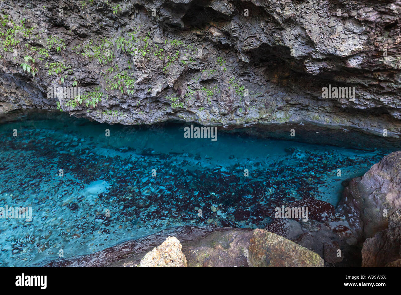 Acque azzurre di Los Tres Ojos. Open-air di grotte di calcare situato nel Mirador del Este park, in Santo Domingo, Repubblica Dominicana Foto Stock
