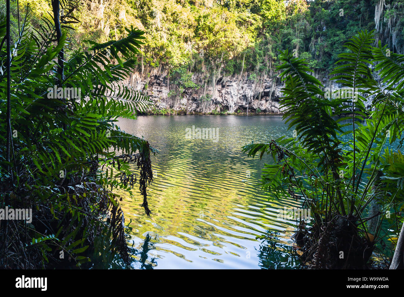 Los Tres Ojos o tre occhi in inglese. Paesaggio di acqua della open-air di grotte di calcare situato nel Mirador del Este park, in Santo Domingo, Foto Stock