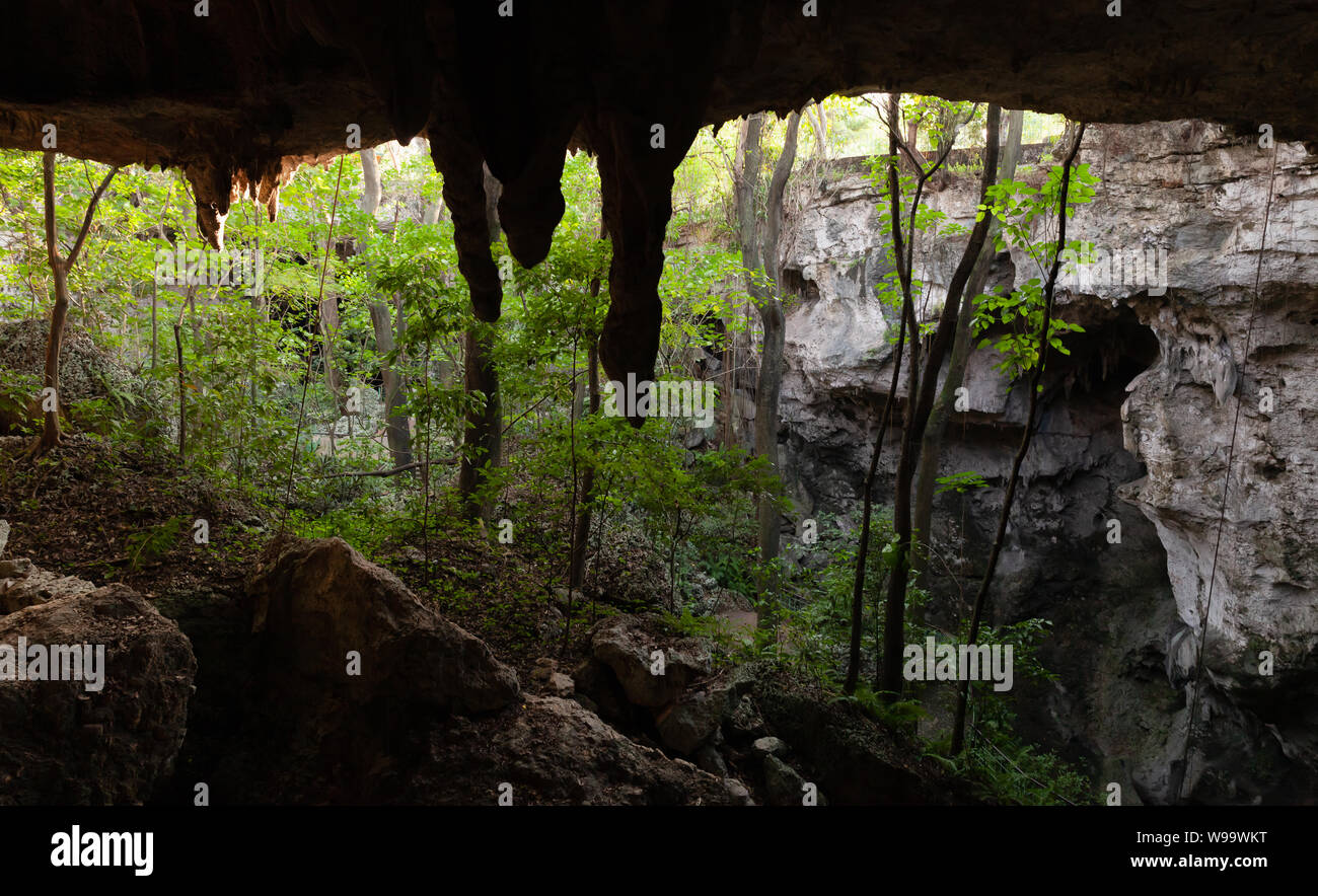 Los Tres Ojos o tre occhi in inglese. Il paesaggio di open-air di grotte di calcare situato nel Mirador del Este park, in Santo Domingo, Domin Foto Stock