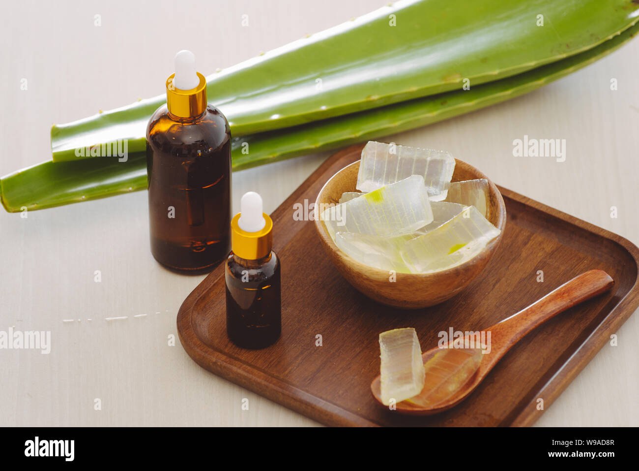 Bottiglia di aloe vera olio essenziale con pelati e Aloe foglie - trattamento di bellezza Foto Stock