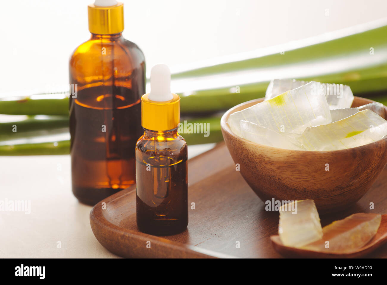 Bottiglia di aloe vera olio essenziale con pelati e Aloe foglie - trattamento di bellezza Foto Stock