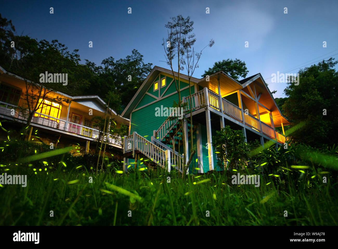 Lucciole nel lato del paese di Chiayi di notte Foto Stock