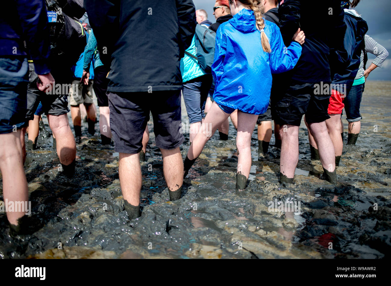 07 agosto 2019, Bassa Sassonia, Krummhörn: i partecipanti di una guidata escursione mudflat sostare di fronte Upleward nel pavimento mudflat. Ogni estate, i servizi di emergenza hanno per il soccorso di escursionisti, ma anche i nuotatori, surfisti o marinai da emergenze. Se uno osserva semplici regole di base, la maggior parte delle emergenze in watt può essere evitato secondo i soccorritori. Foto: Hauke-Christian Dittrich/dpa Foto Stock