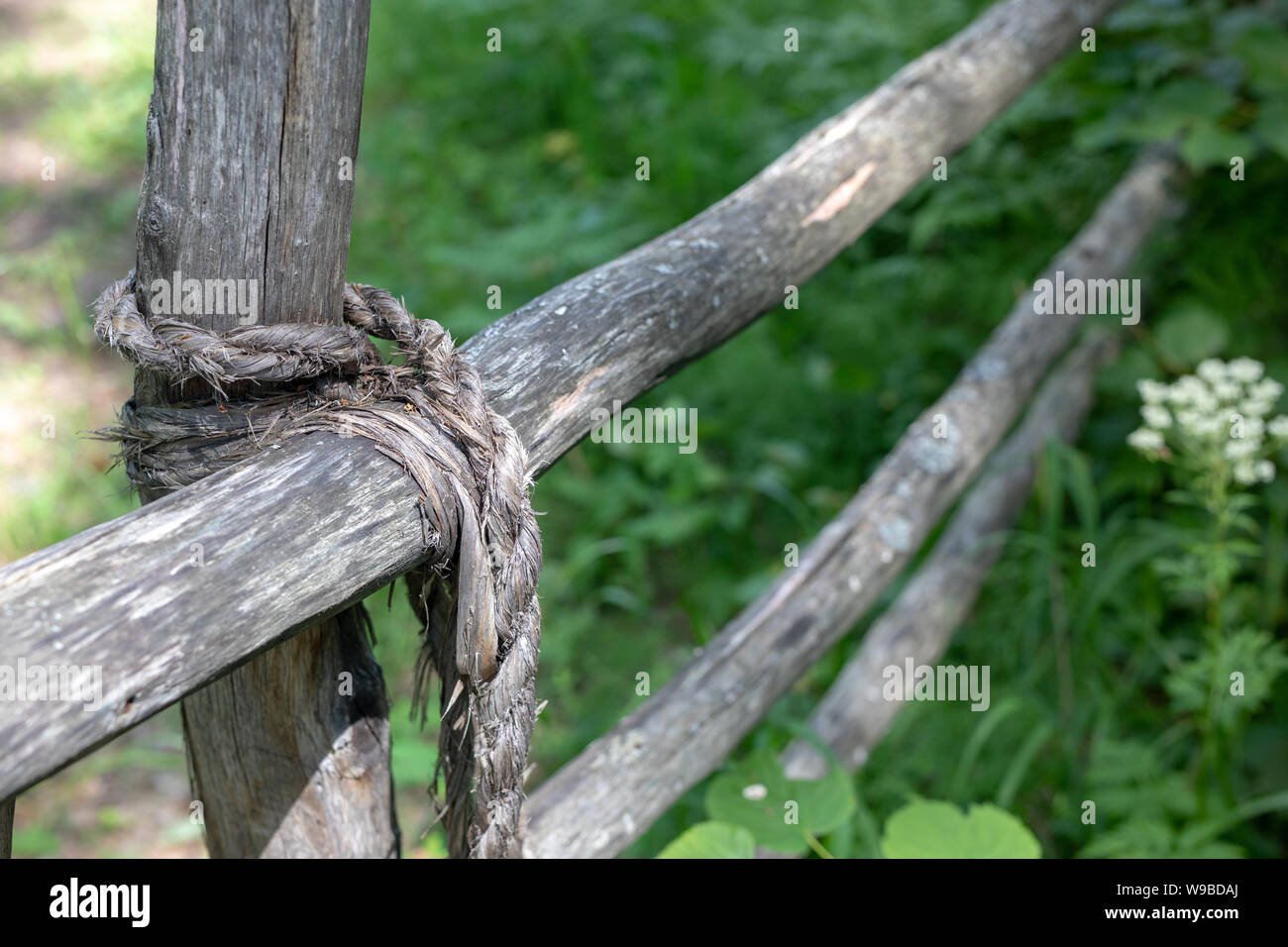 Nodo legato bastone di legno recinto su uno sfondo di erba verde. corda allacciate del vecchio recinto. close up Foto Stock