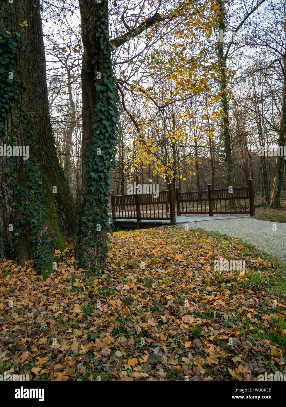 Parco Maksimir di Zagabria a stagione autunnale Foto Stock