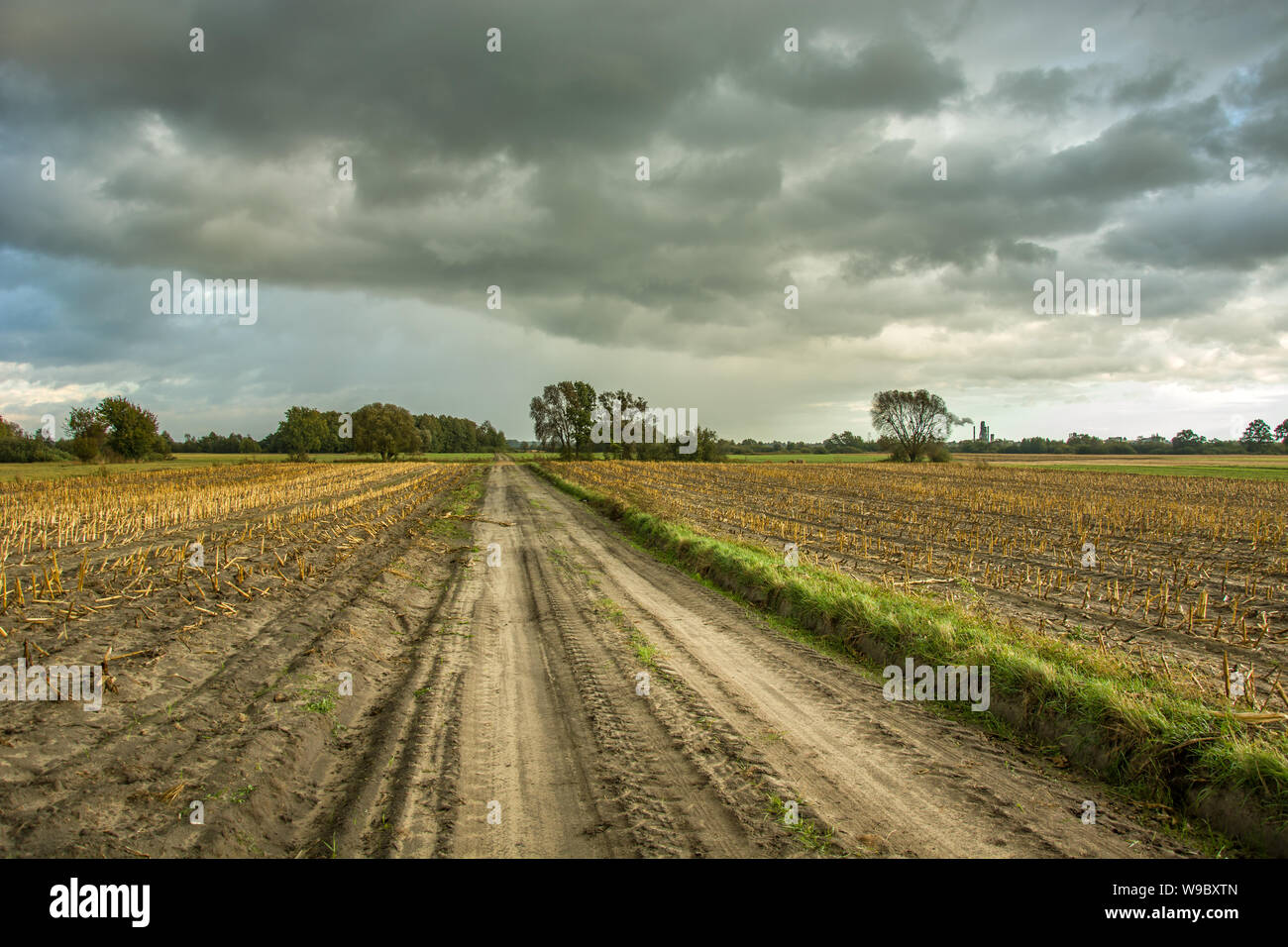 Country Road e nuvole scure nel cielo. Nowiny, Polonia Foto Stock