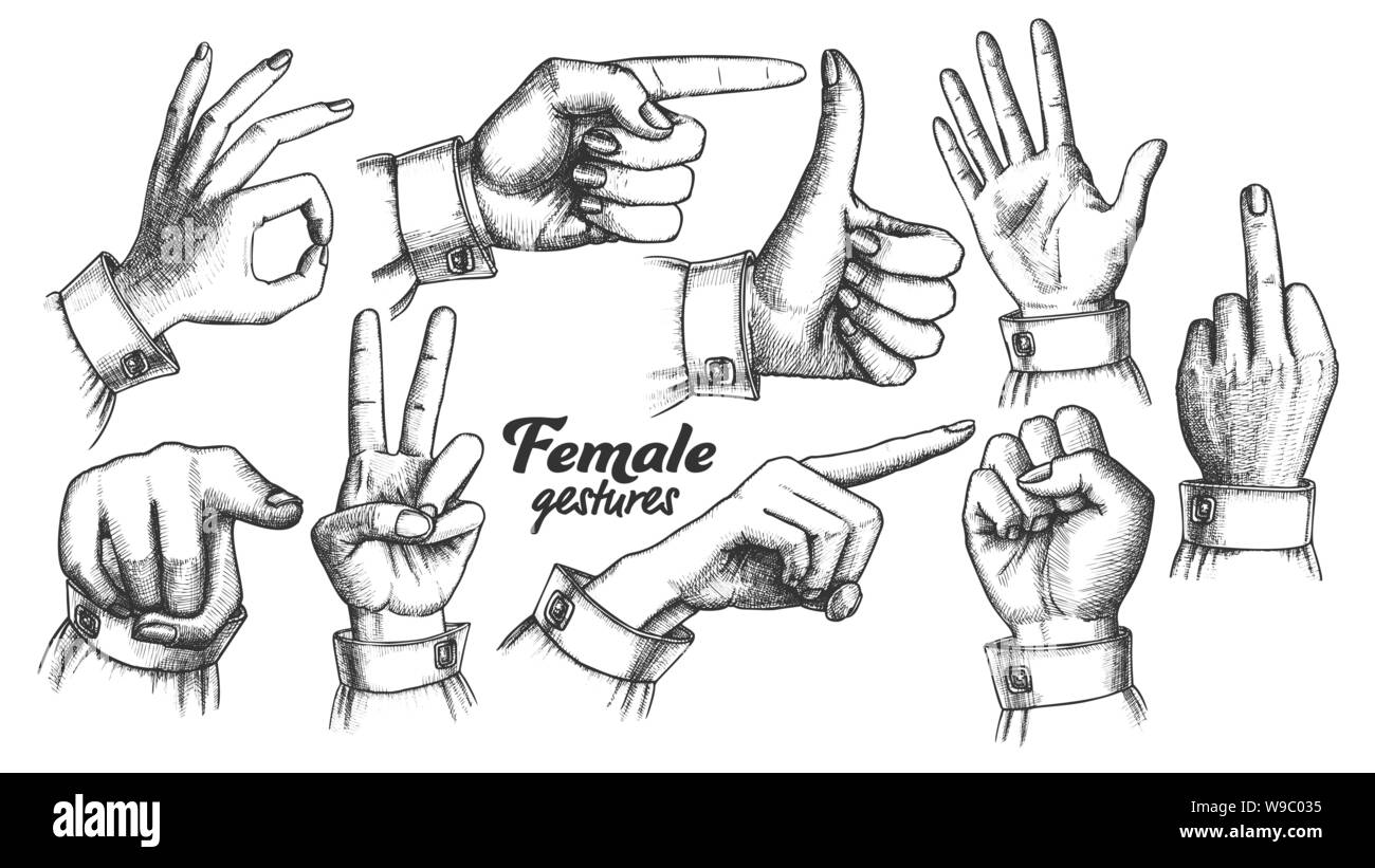 Multipli femmina mano caucasica gesto vettore Set Illustrazione Vettoriale