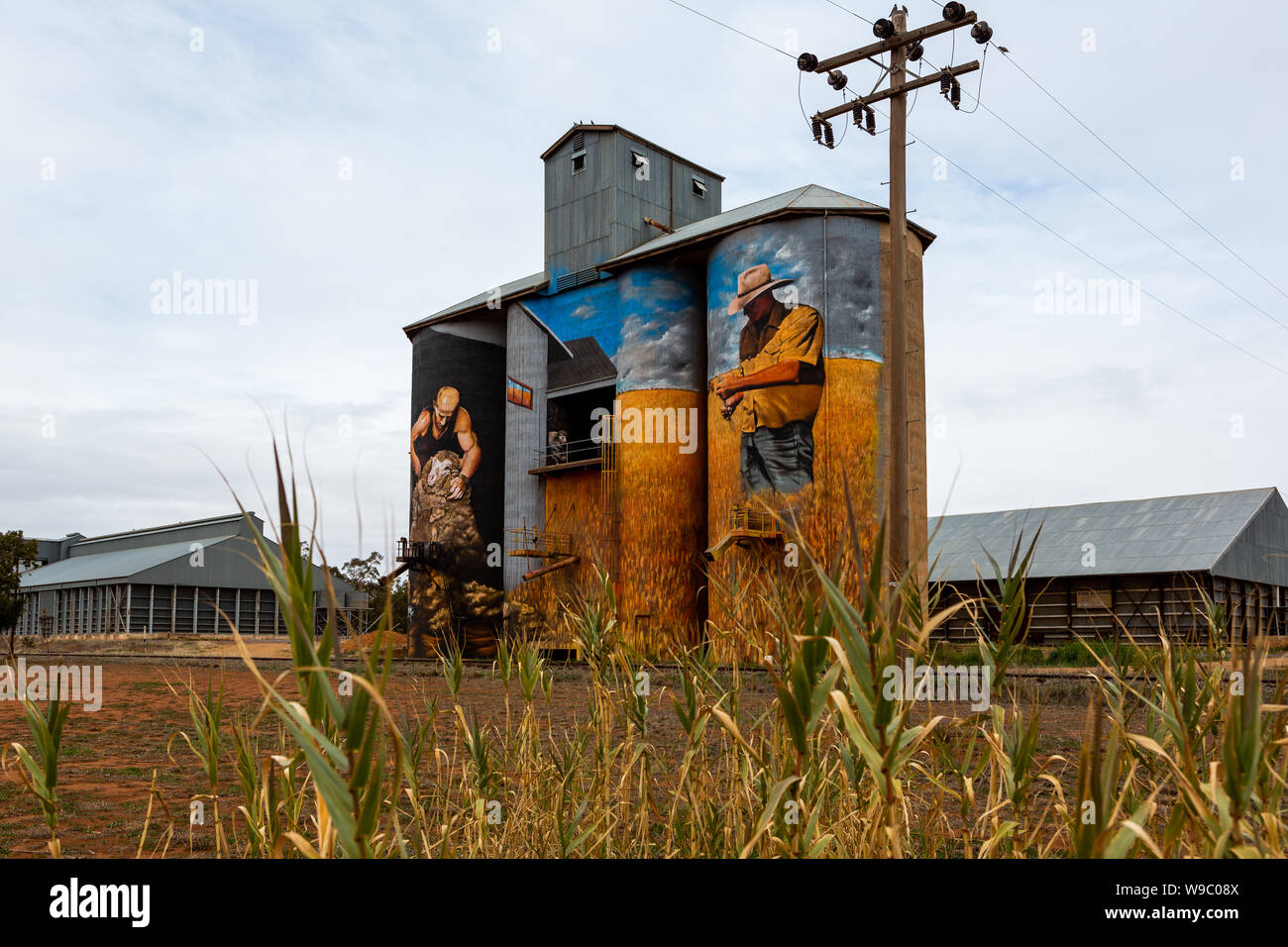 Il silo Weethalle progetto Arte in un blando Shire Council nel NSW Australia adottate il 29 Luglio 2019 Foto Stock