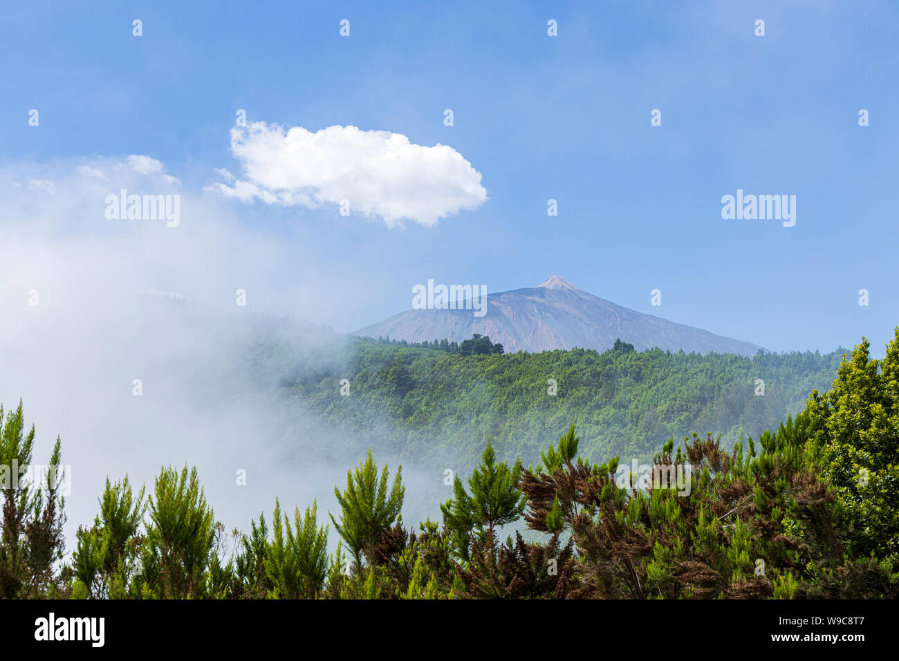 La nebbia e il cloud esplodere la Orotava Valley attorno ad oscurare la vista del vulcano Teide dal Mirador Asomadero, Tenerife, Isole Canarie, Spagna Foto Stock