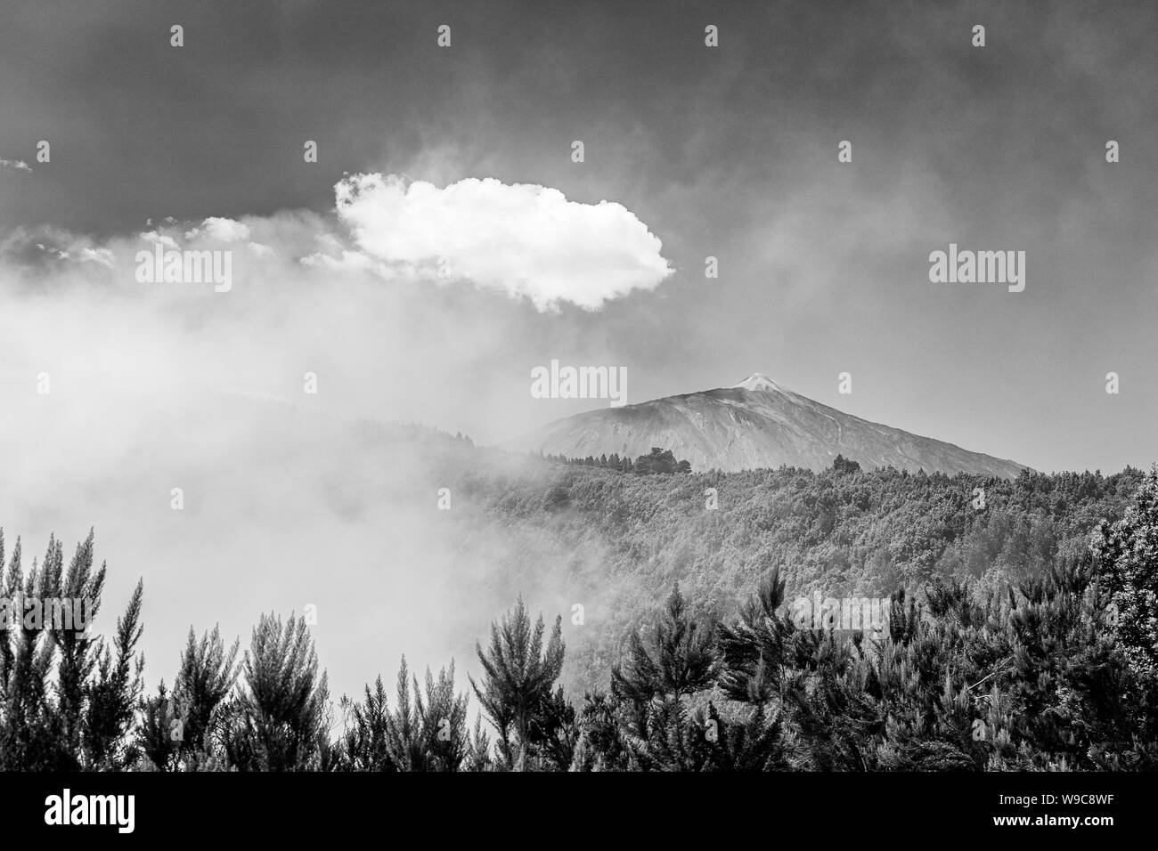 La nebbia e il cloud esplodere la Orotava Valley attorno ad oscurare la vista del vulcano Teide dal Mirador Asomadero, Tenerife, Isole Canarie, Spagna Foto Stock