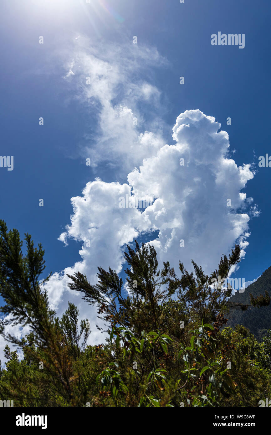 Cumulonimbus nuvole sopra la valle di Orotava, Tenerife, Isole Canarie, Spagna Foto Stock