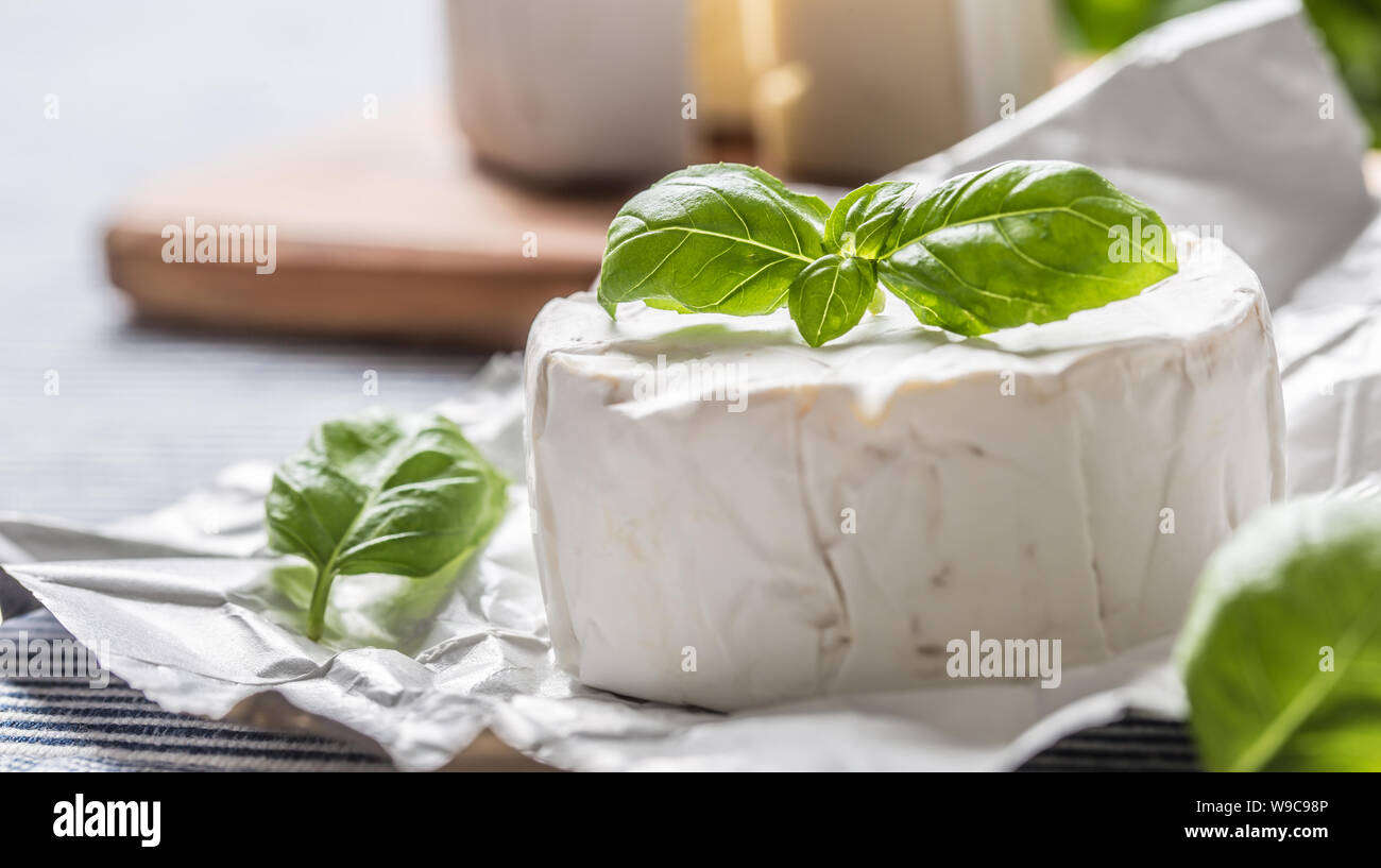 Camembert o formaggio brie con foglie di basilico sul tavolo Foto Stock