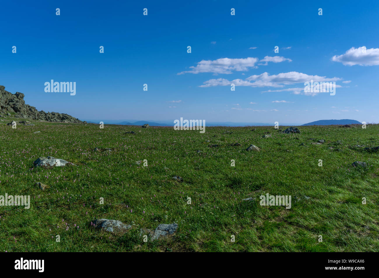 Estate paesaggio artico - erboso tundra rocciosa sotto un cielo blu Foto Stock