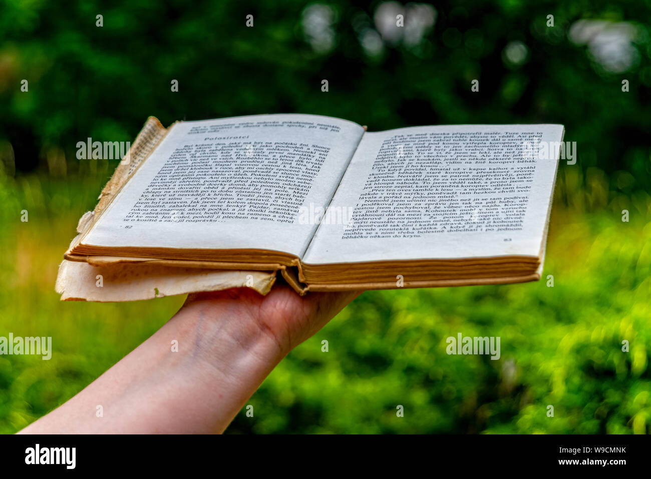 Donna detiene il libro e vuole leggere Foto Stock