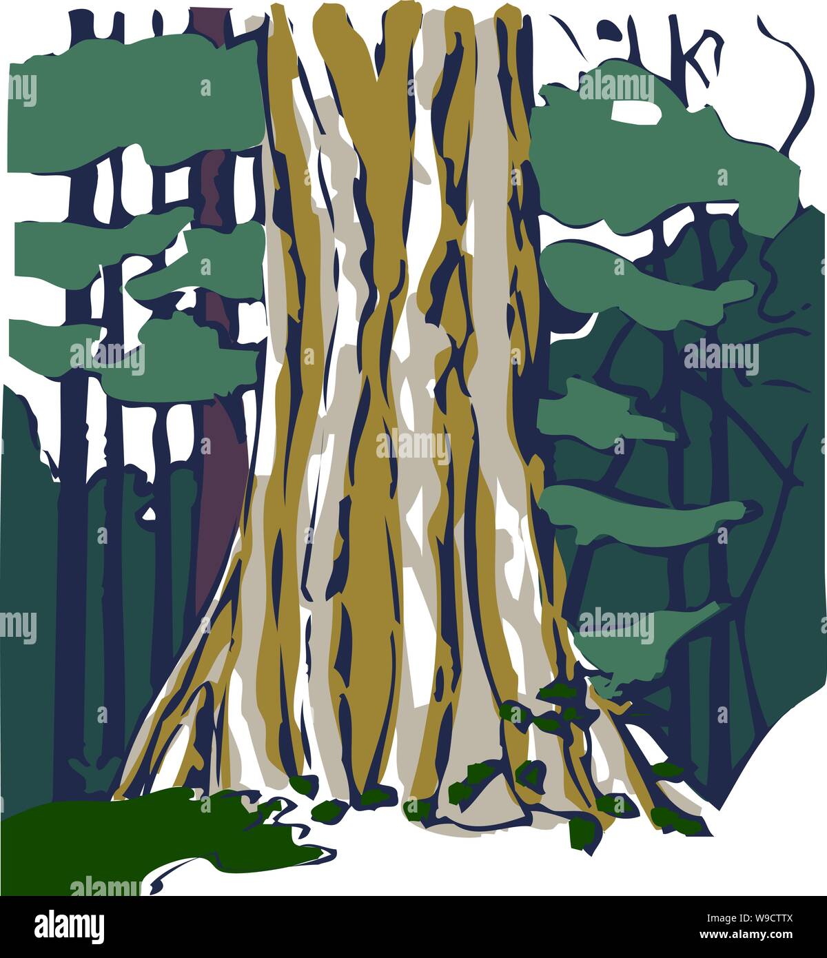 Guardando attraverso una foresta con il tronco di un grande albero in primo piano una massa o f spessi alberi aggrovigliati in dietro Illustrazione Vettoriale