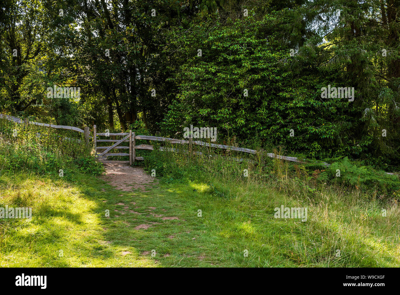 Pezzata luce solare su un rustico cancello di legno in una recinzione di legno sul bordo di un prato nelle colline di Quantock nel Somerset. Foto Stock