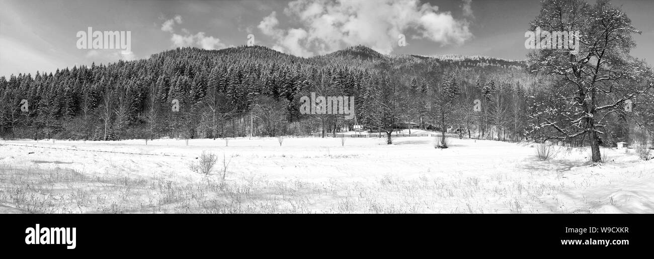Bellezze naturali cucito Panorama di inverno foresta con gli alberi e il bianco della neve sunny outdoor sul cielo blu sullo sfondo Foto Stock
