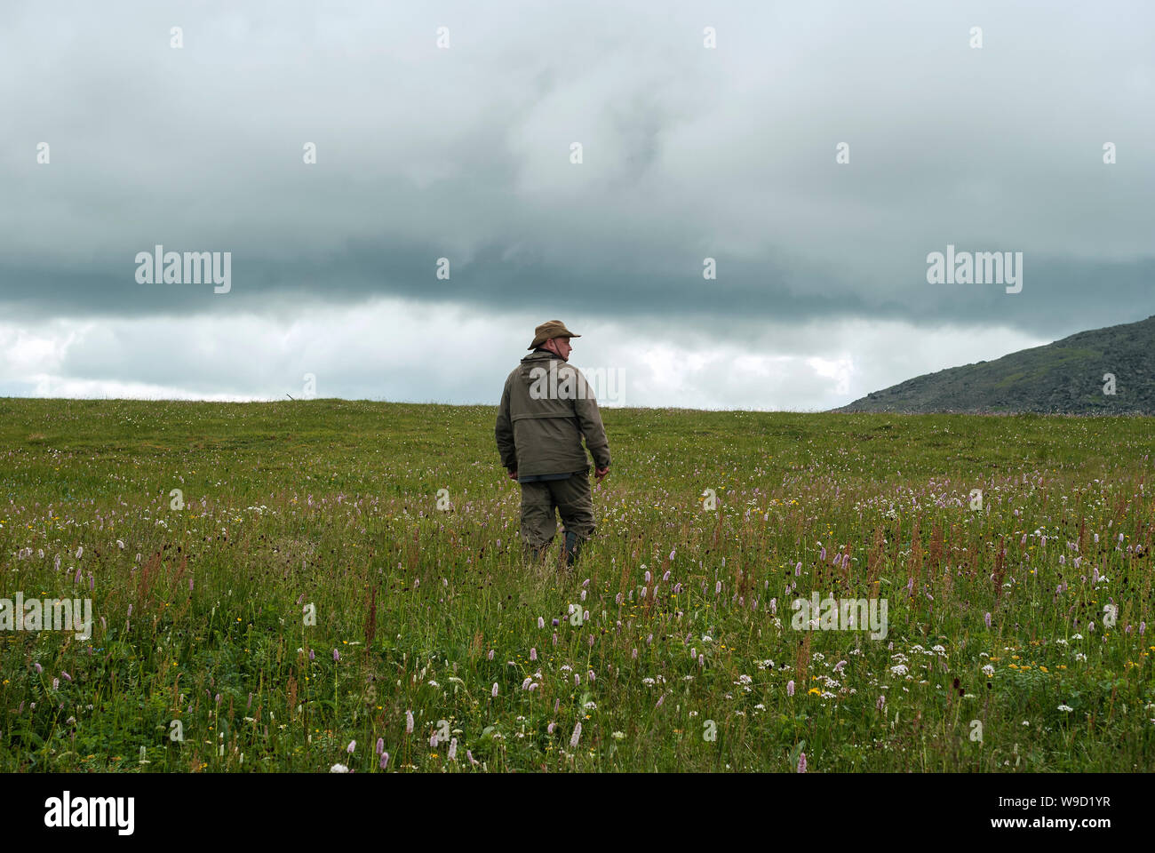 Uomo in escursionismo vestiti di foglie di fioritura tundra di montagna sotto il cielo nuvoloso Foto Stock