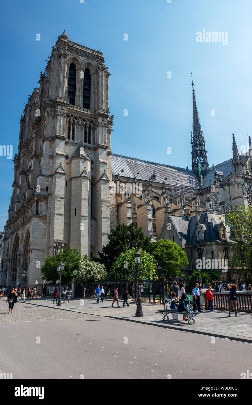 La cattedrale di Notre Dame visto dal Pont au Double, Ile de la Cité, Parigi, Francia Foto Stock