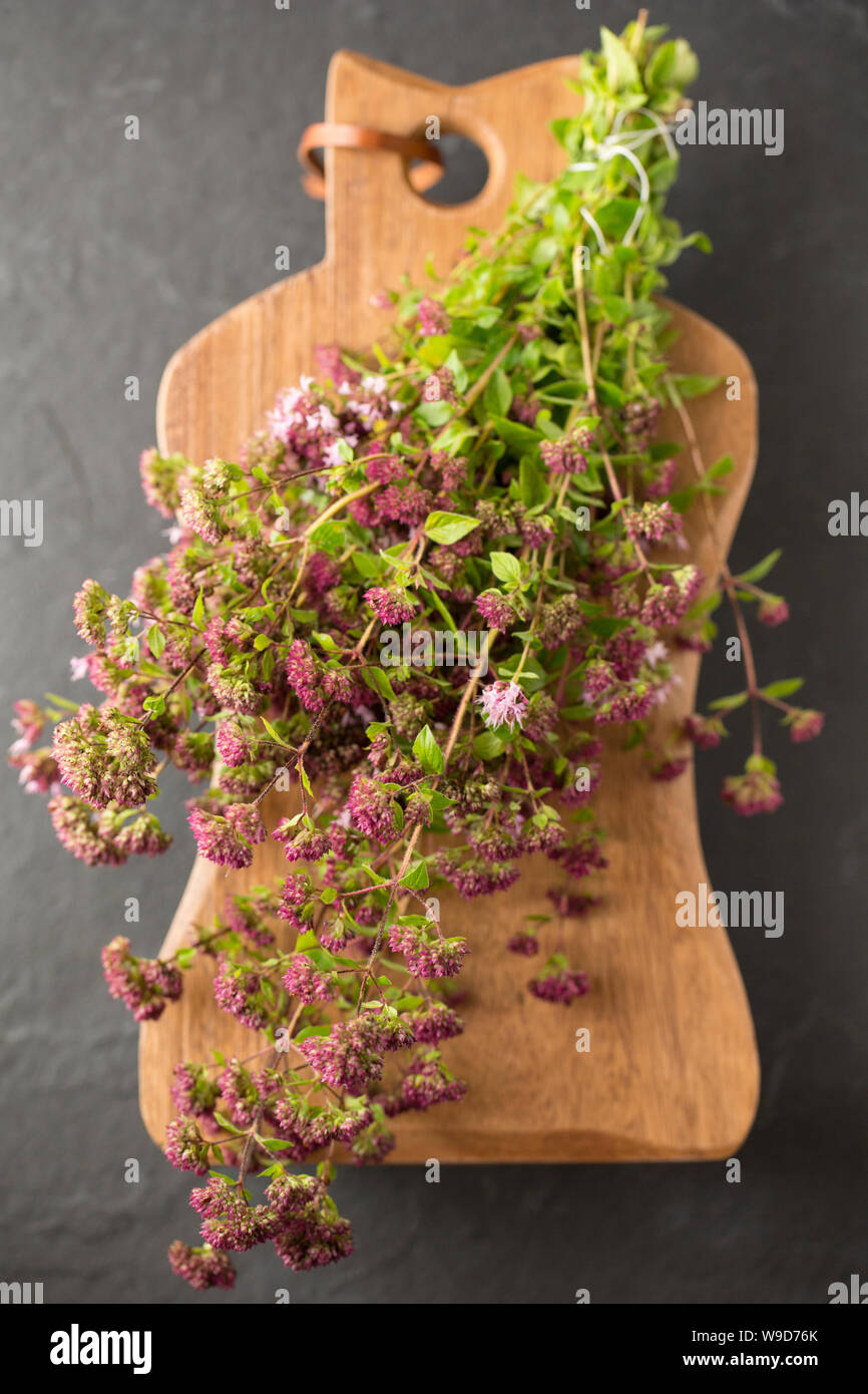 Un mazzetto di fioritura origano, Origanum vulgare, che è stata raccolta in prossimità di un sentiero e sarà utilizzato per aromatizzare varie ricette. Il Dorset Inghilterra Foto Stock