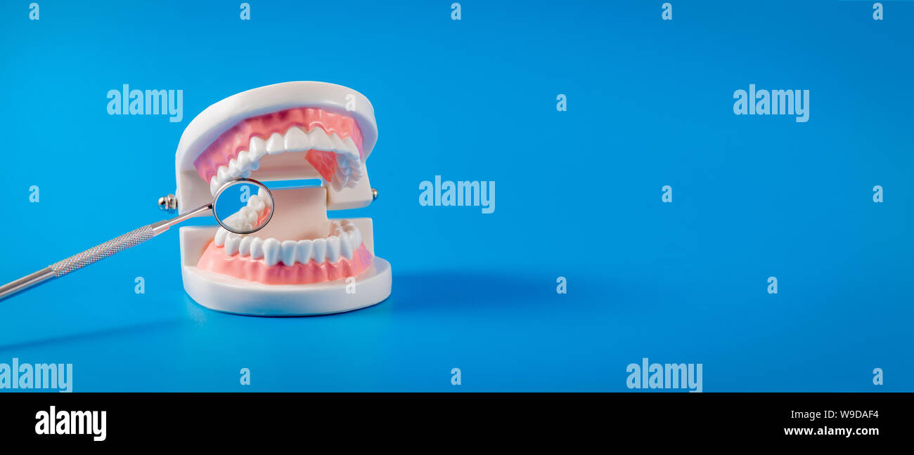 Modello di denti e specchio dentale su sfondo blu con spazio di copia Foto Stock