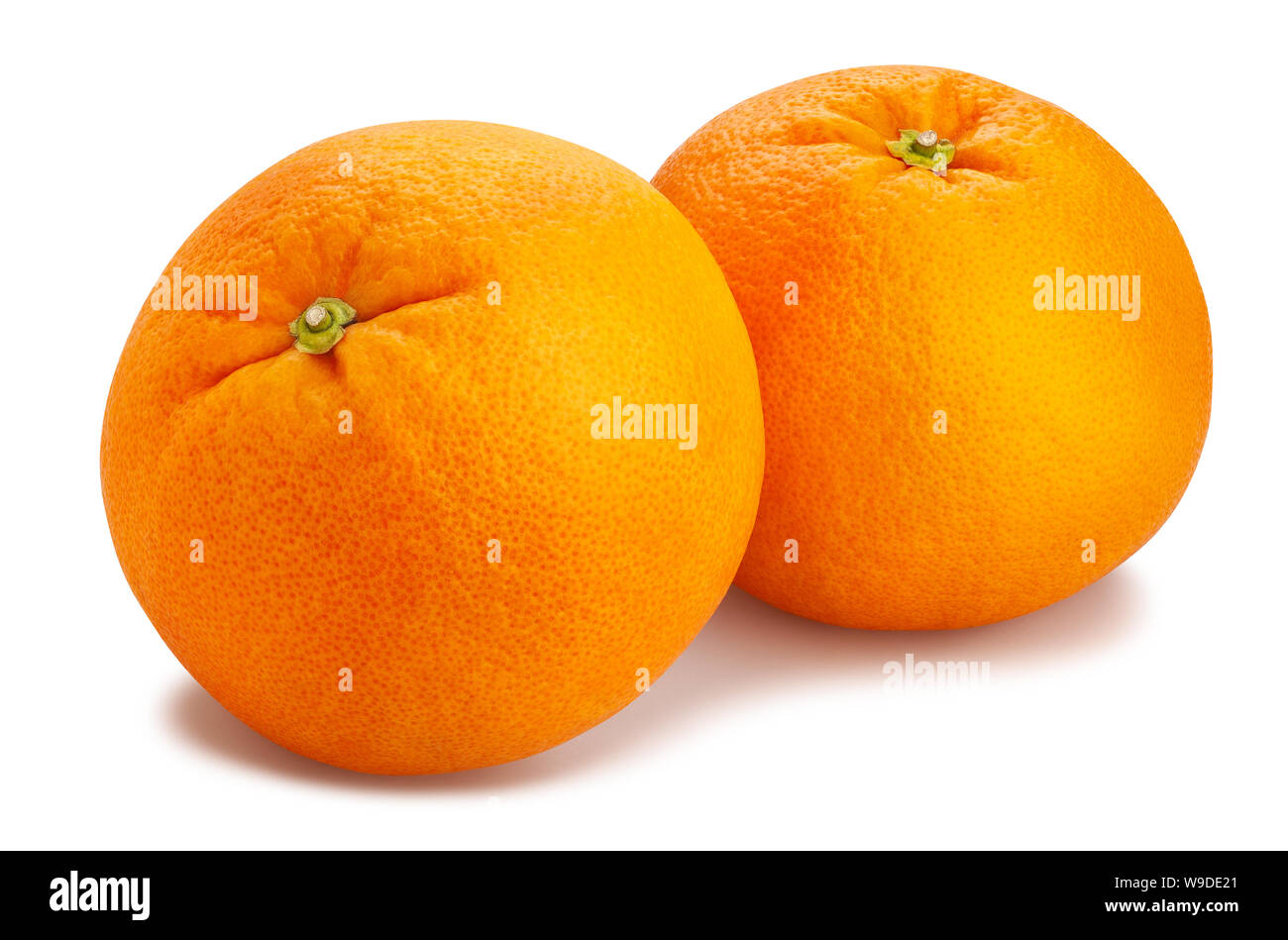 Percorso di pompelmo isolato su bianco Foto Stock