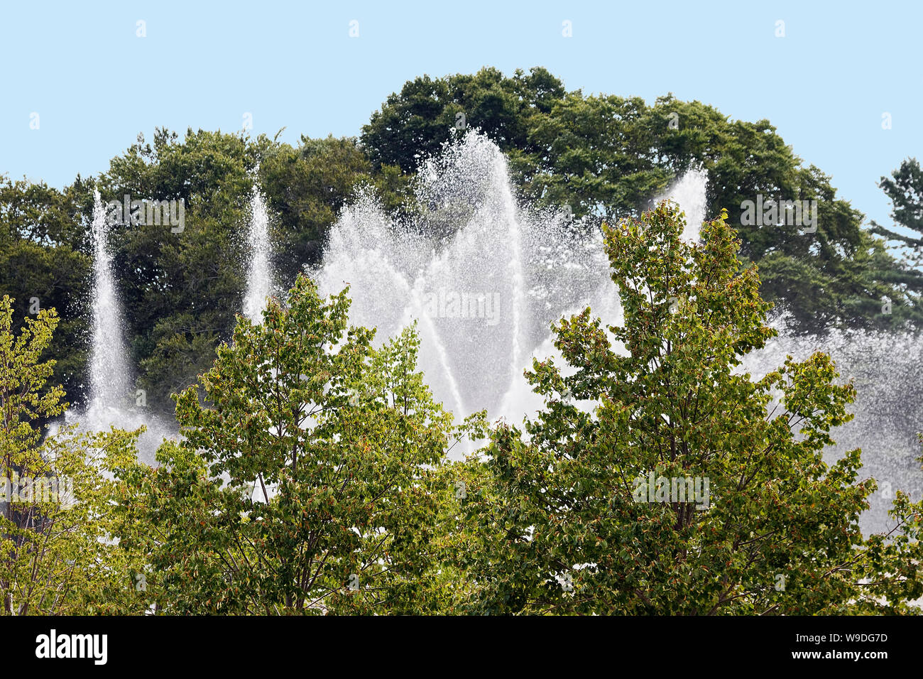 Fontana principale giardino; acqua danzanti, schizzando tra alberi, lenitivo, Longwood Gardens; Kennett Square; PA; Pennsylvania; USA; estate; orizzontale Foto Stock