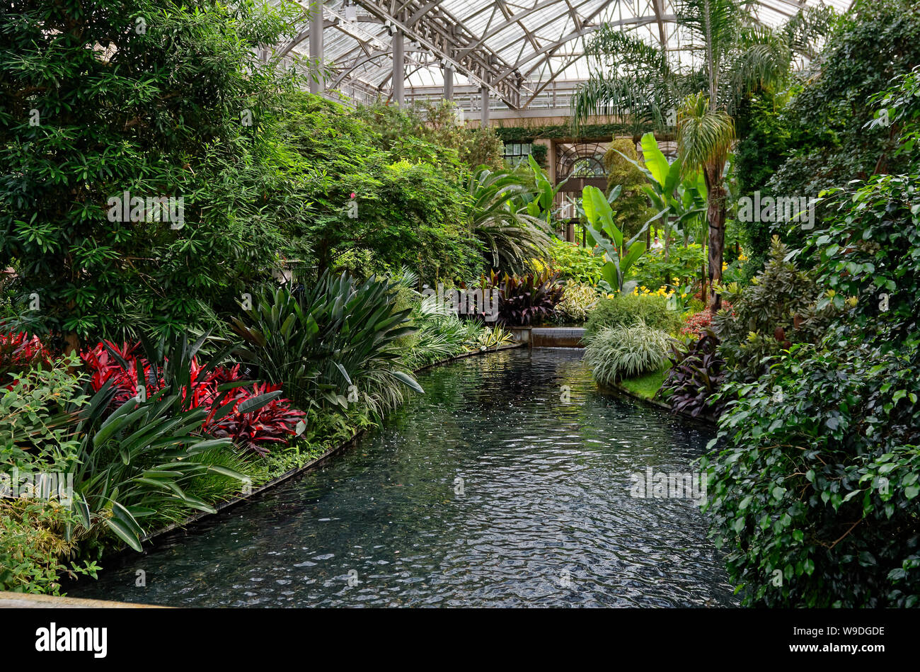 Conservatorio est; giardino interno display, acqua fluente, fiori, piante, alberi, soffitto in vetro, Longwood Gardens; Kennett Square; PA; Pennsylvania; US Foto Stock