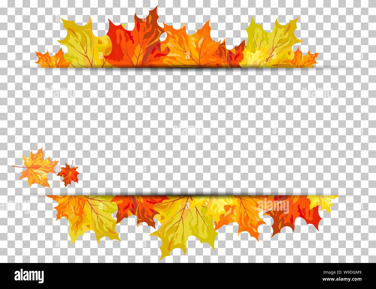 Caduta (Autunno) sfondo di acero. Trasparenza Il design della griglia. Illustrazione Vettoriale. Illustrazione Vettoriale