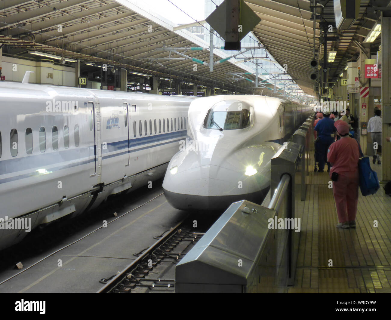 Tokio, Giappone. 18 Maggio, 2018. Un Shinkansen Express sta in piedi di fronte ad un imbarco sistema di sicurezza a Tokyo alla stazione ferroviaria, che separa il treno dal letto binario e quindi fissa. Rientra in pista il letto non sono possibili in questo modo. Ci sono sistemi simili in una cinquantina di altre città in tutto il mondo, alcune delle quali sono state in funzione dagli anni novanta - ad esempio a Mosca, Londra e Barcellona. Credito: Pietro Gercke/dpa-Zentralbild/ZB/dpa/Alamy Live News Foto Stock