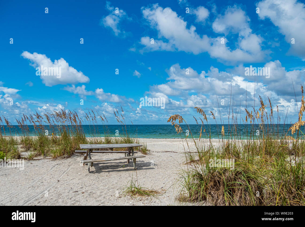 Tavolo da picnic sulla spiaggia a moncone Pass parco dello stato sul Golfo del Messico in Englewood in Southwest Florida Foto Stock