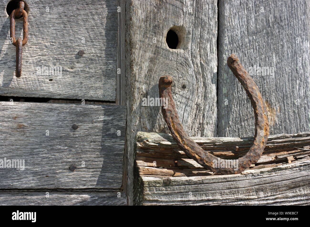 Ferro di cavallo Foto Stock