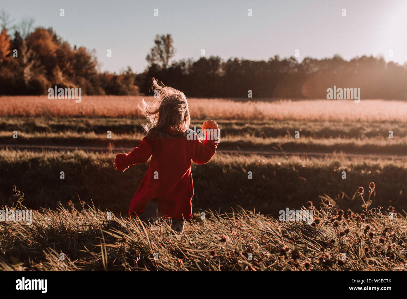 Bambina all'aperto in autunno detiene piccola zucca in esecuzione in un campo Foto Stock